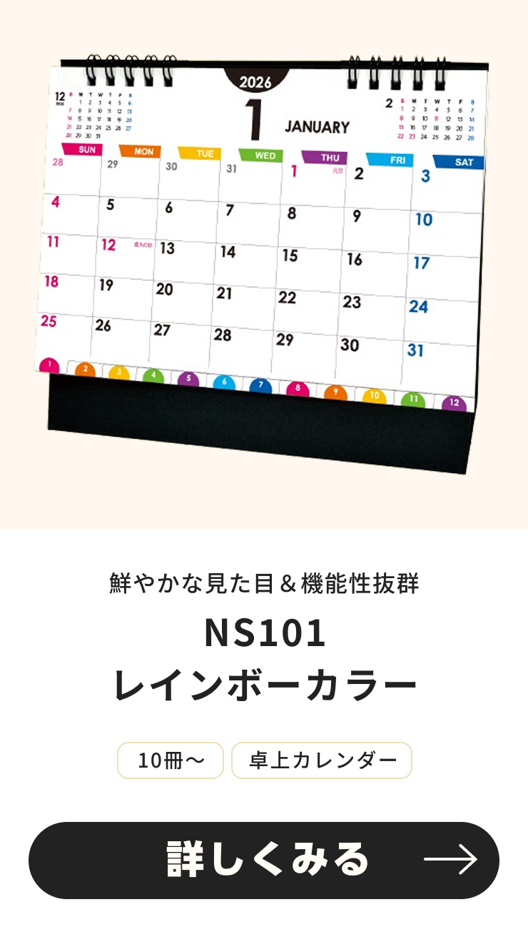 NS101