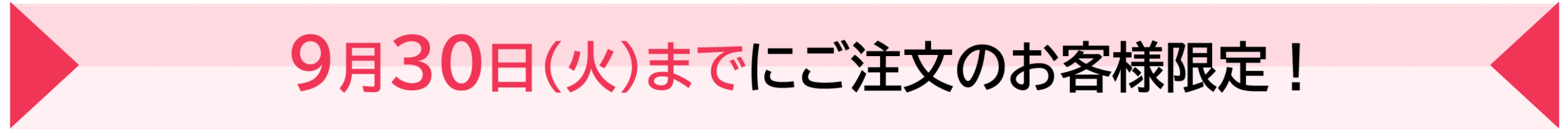 9月30日(月)までにご注文のお客様限定!