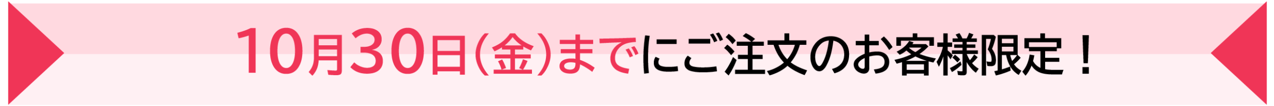 9月30日(月)までにご注文のお客様限定!